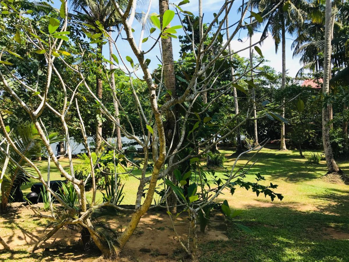 O2 Villas - Weligama Bagian luar foto