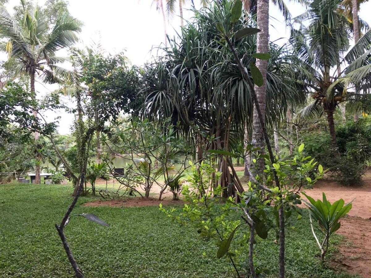 O2 Villas - Weligama Bagian luar foto